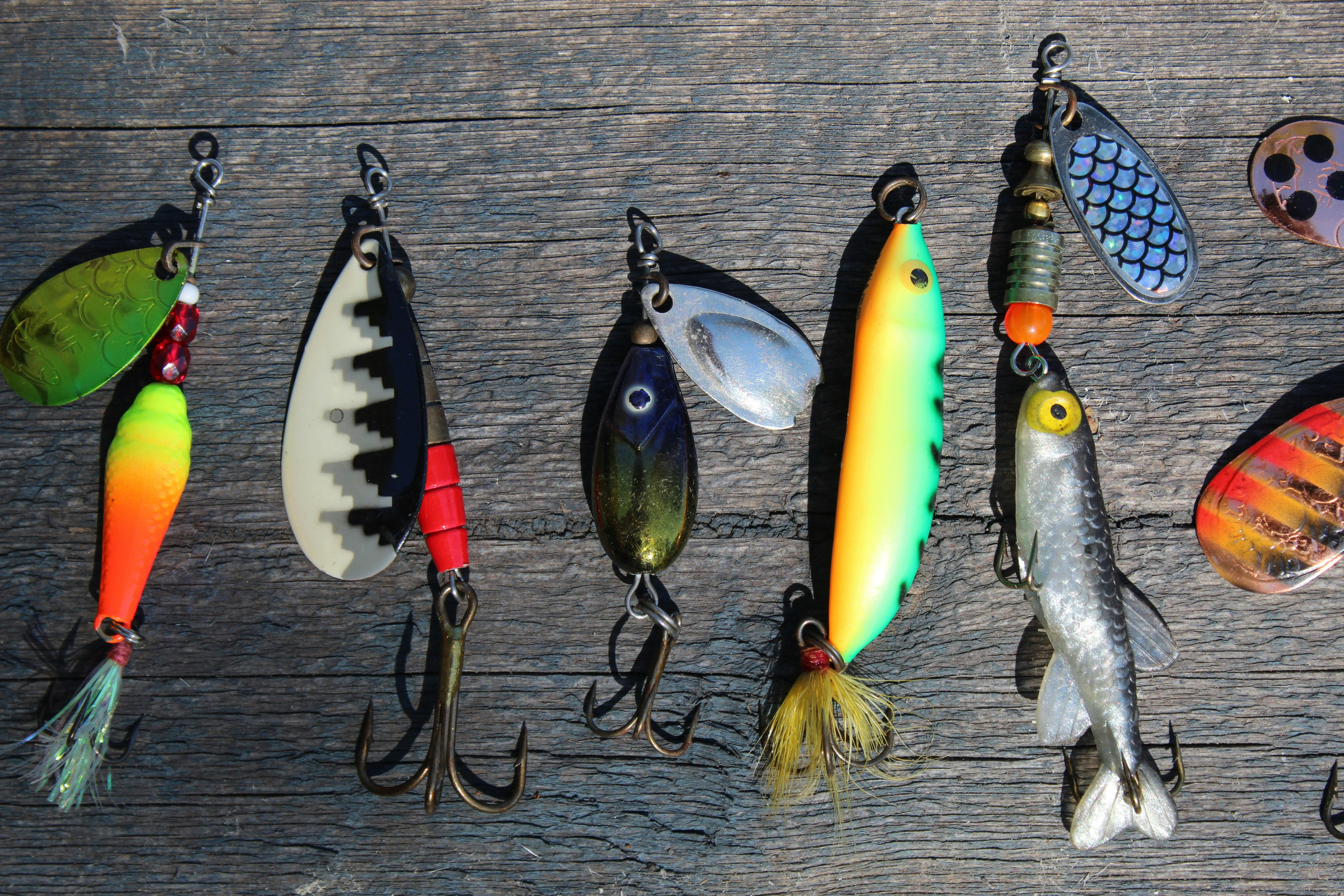 How to Choose the Right Fishing Lure: The Ultimate Guide